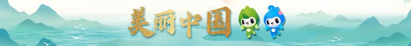 专题专栏
