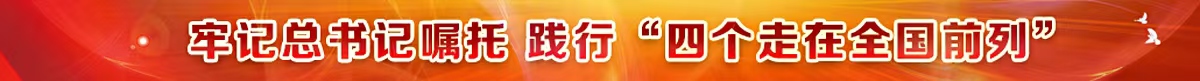 专题策划